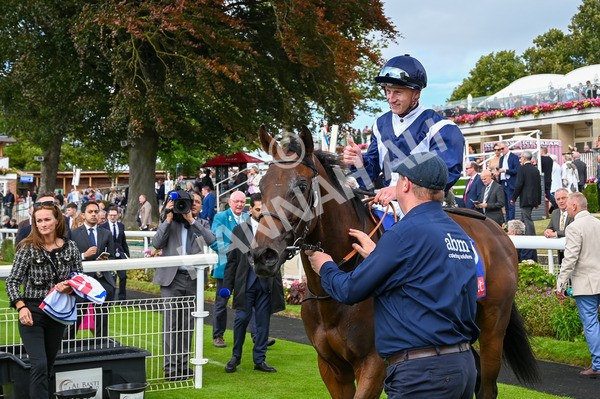 220824-Race 1-Celandine-6344 - Race 1 1.50pm Sky Bet Lowther Stakes