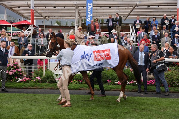 yr18082022r1-53 - Race 1 1.50pm Sky Bet Lowther Stakes