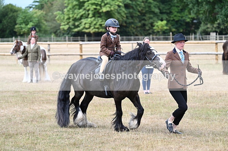 WJ7_6705 - Class 1 Lead Rein Pony
