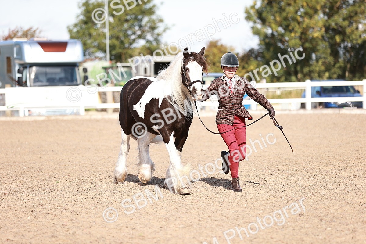 SBM_12593 - Class 404 - IH Traditional - Native Cob
