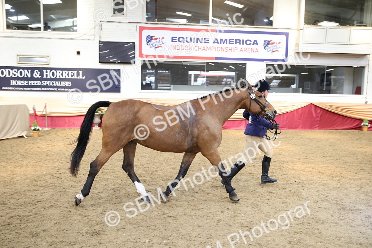 SBM_24260 - Class 905 - Supreme Final - Ridden Veteran