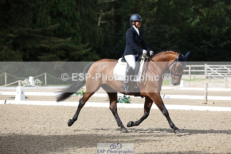 230813-100839-06244 - Cls 11 Elem Bronze Start to 10.50 break