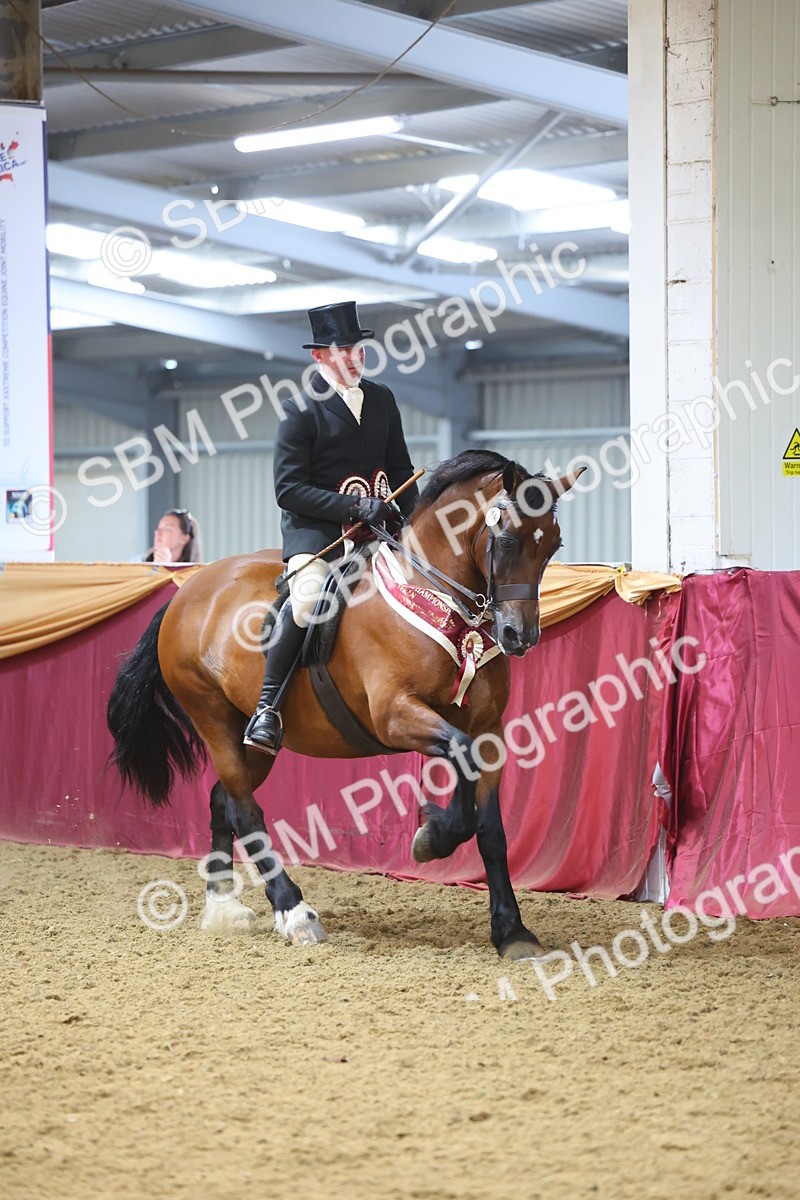 SBM_24702 - Class 906 - Supreme Final - Ridden Pre Vet