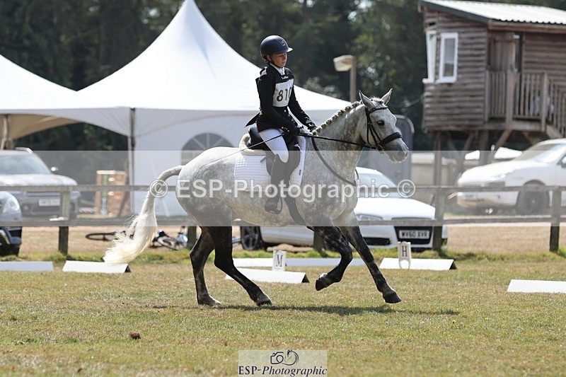 250823A-133656-31561 - Arena C