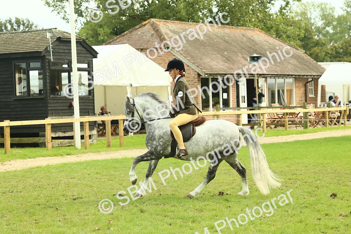 SBM_69867 - S59 - Mountain & Moorland Ridden Small Breeds
