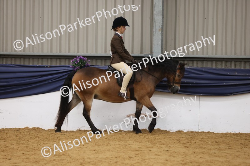20260913-0596 - Class 126 - Novice Ridden