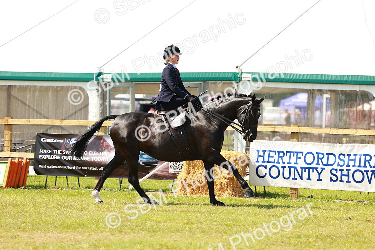 SBM_13223 - Class 70-71 - Side Saddle