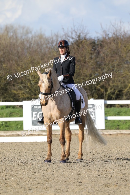 20260314-5793 - DR 7 - Elementary 1