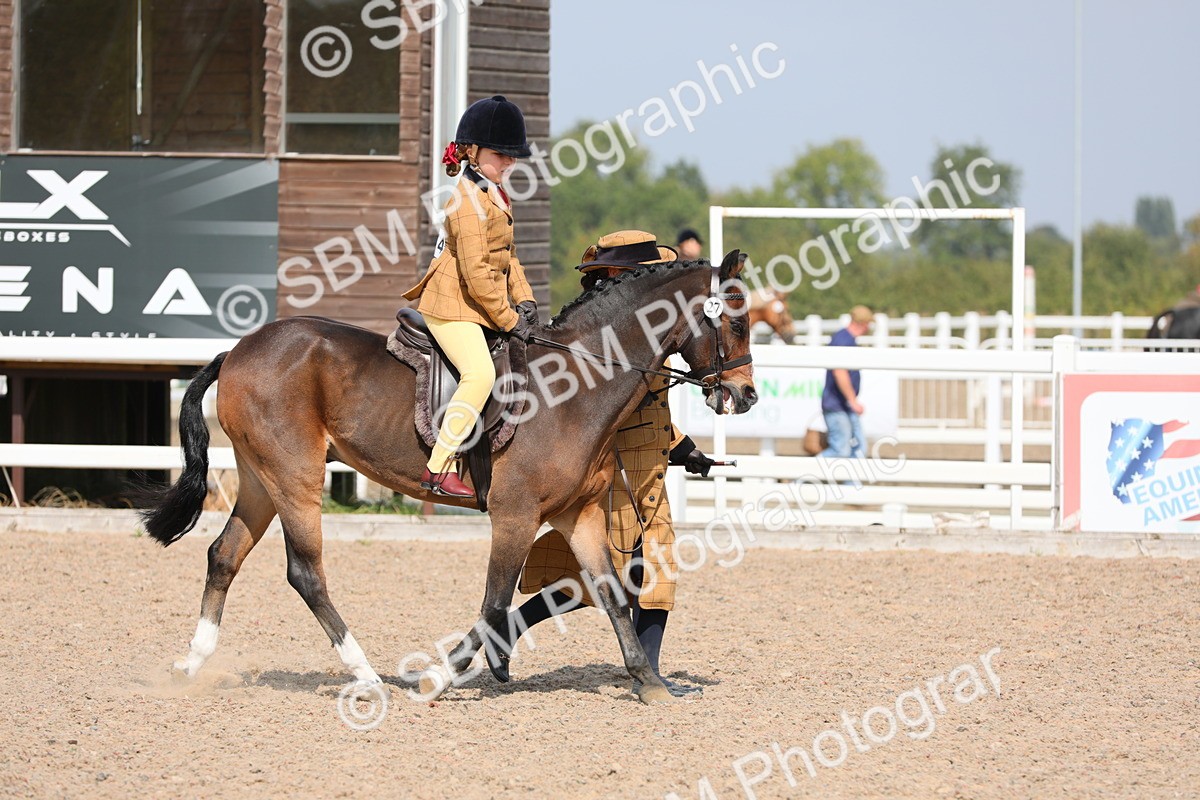 SBM_14040 - Class 309 Lead Rein Pony