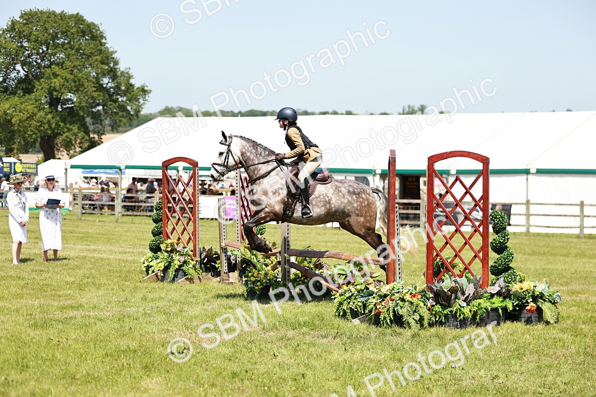 SBM_16371 - Class 110-111 - Training Stakes (70cms 80cms)