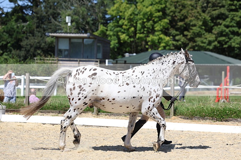 3E7A9414 - Class 29: Veteran In Hand