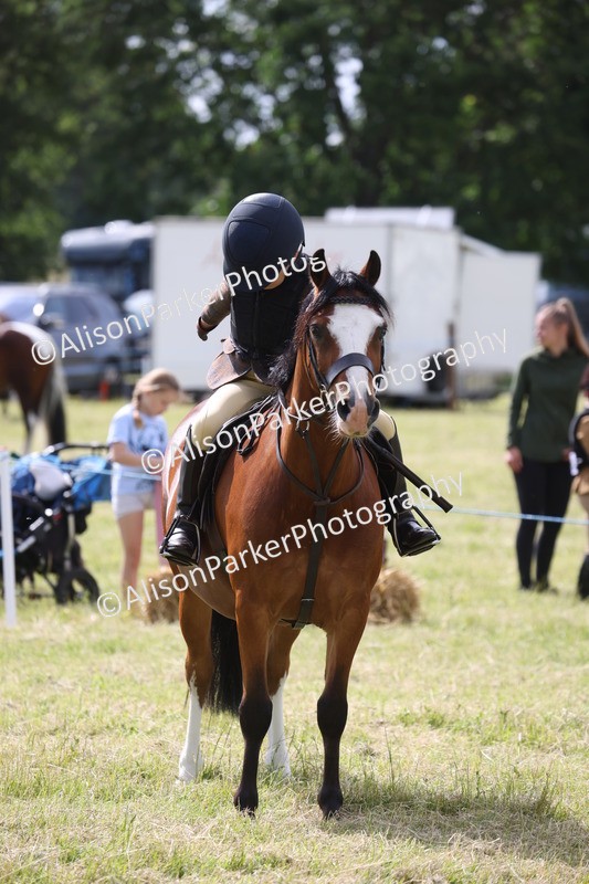 20260614-0505 - Class 20 - Beginners Working Hunter Pony
