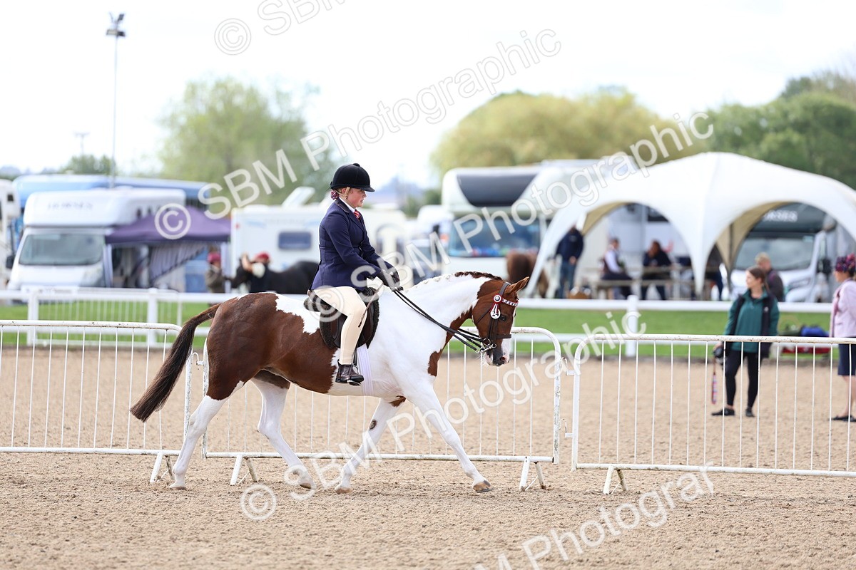 SBM_10071 - Class 304 - Ridden Part Bred Horse Pony