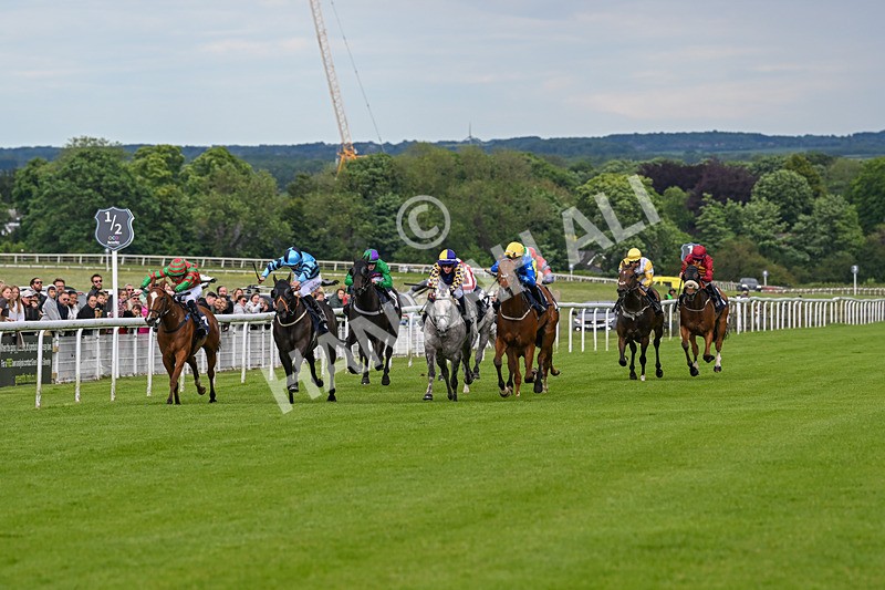 290524-Race 8-Yazaman-7601