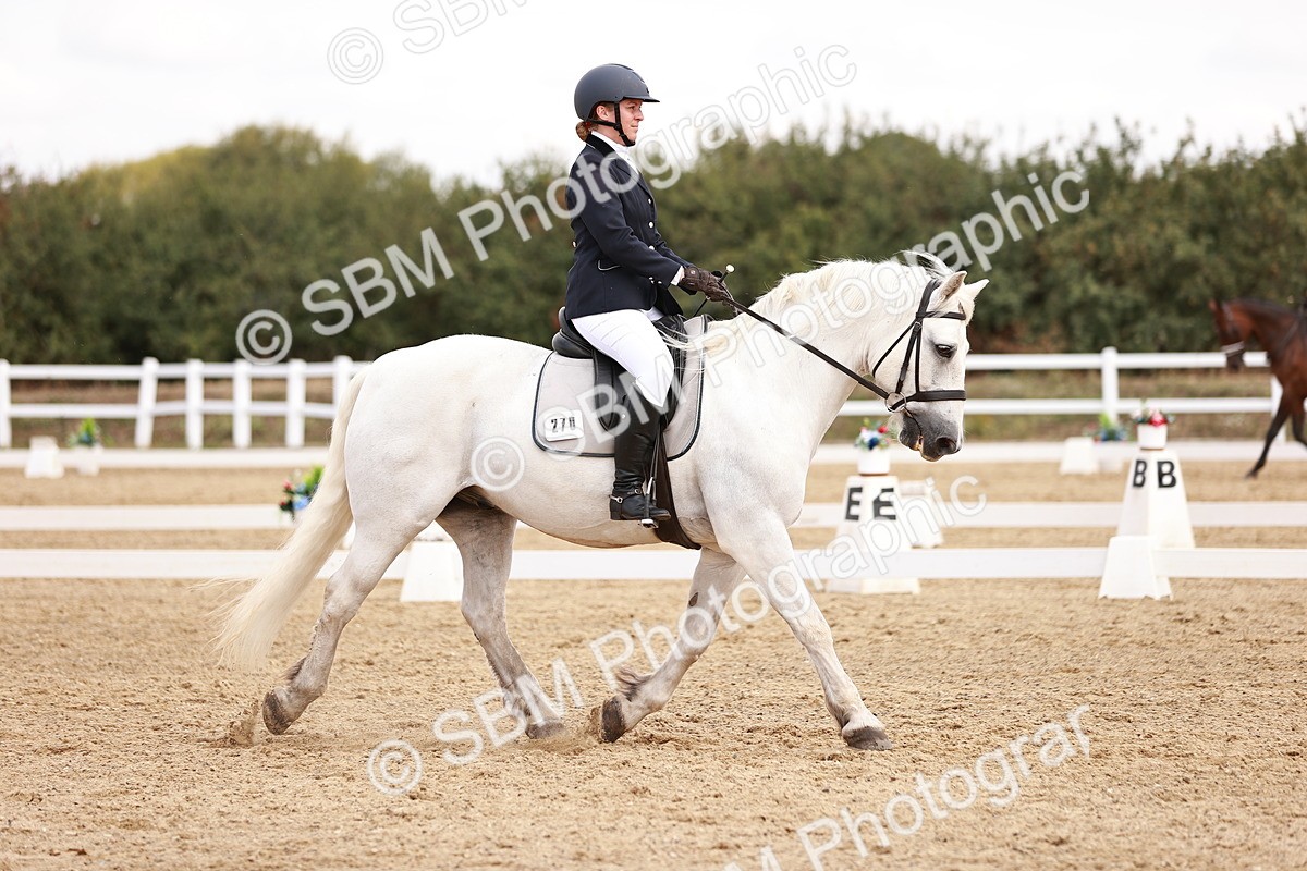 SBM_018018 - Class 15 - Prelim 6