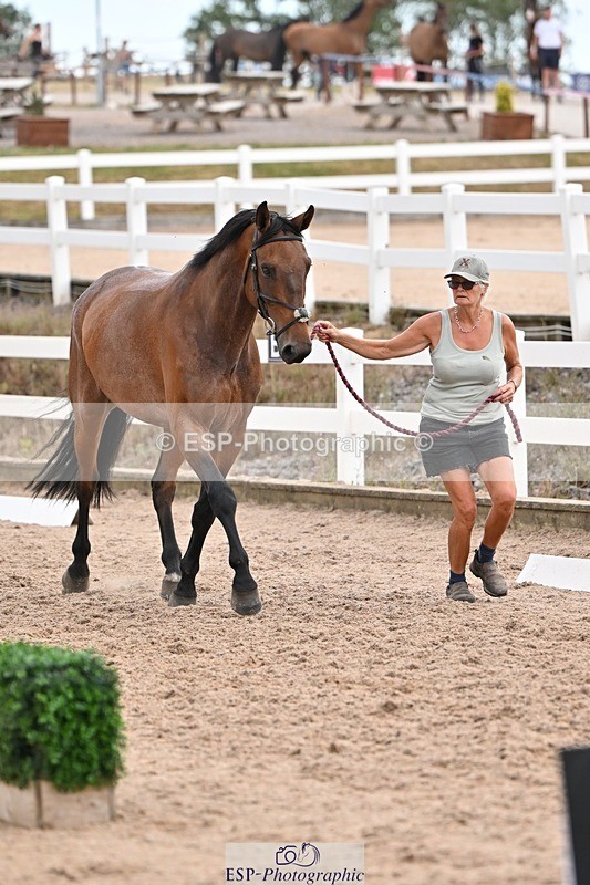 250716-145925-01583 - Trot Up 2.30 to 3.30
