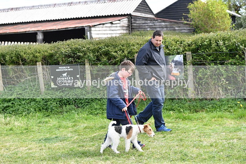WJ5_0711 - Best in Show Championship
