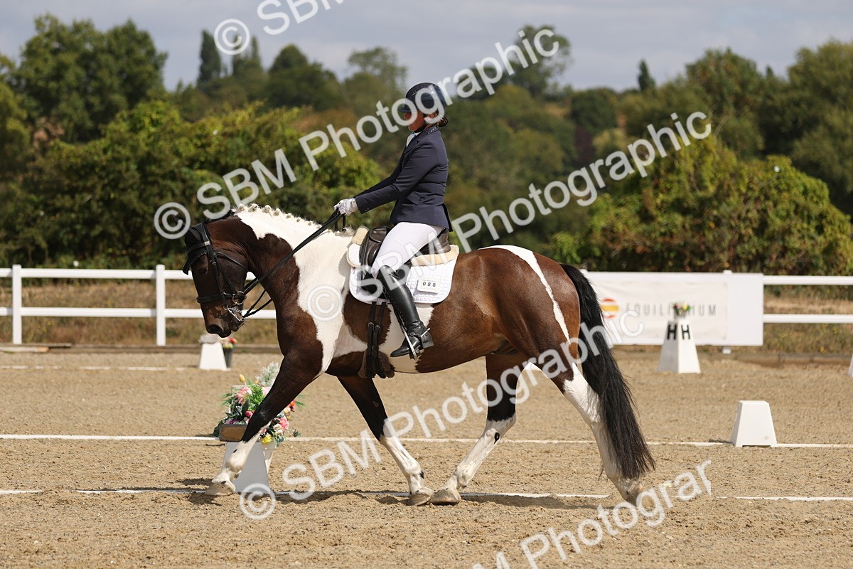 SBM_021114 - Class 21 - M5 Bronze 10.58.12.10