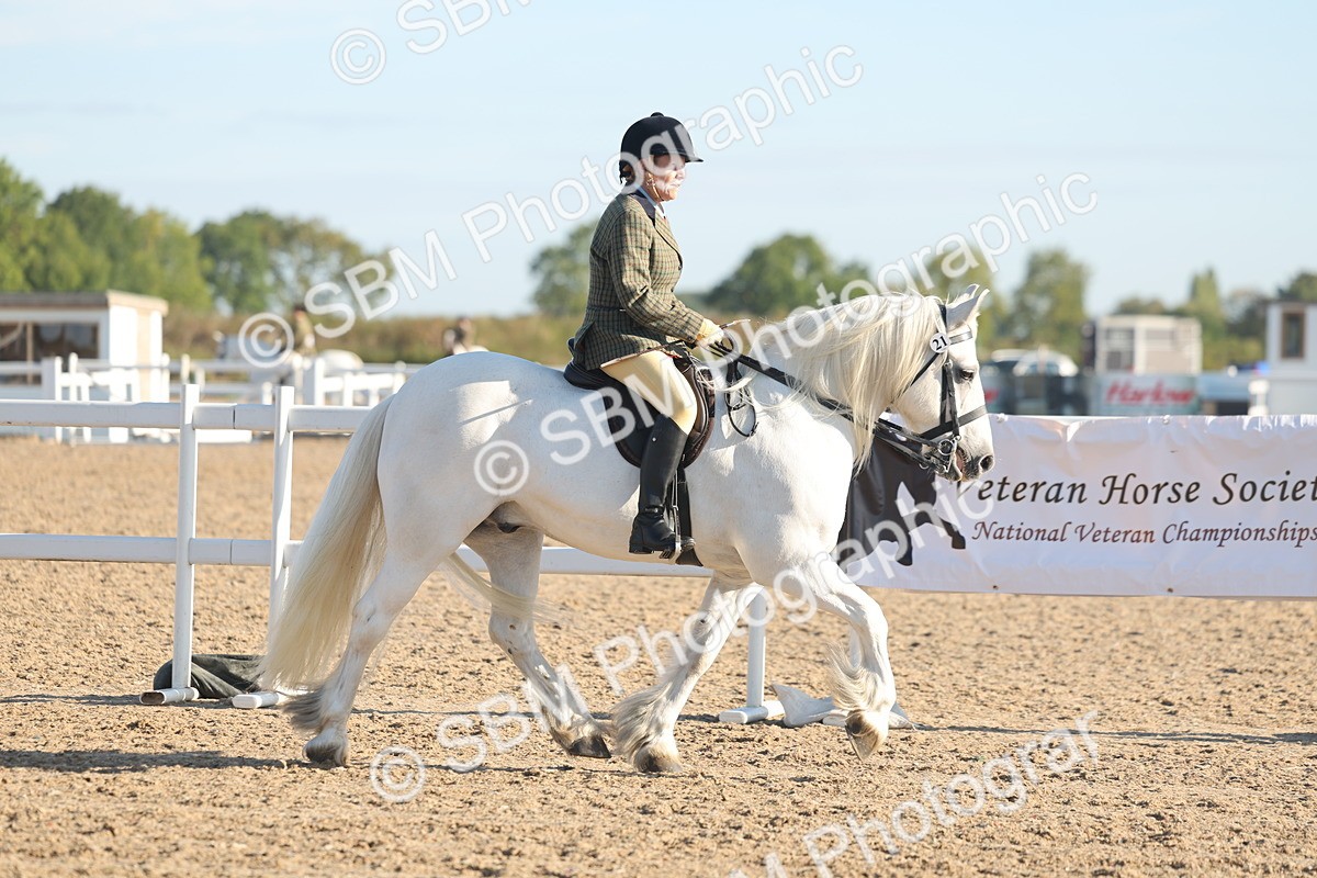 SBM_10964 - Class 302 - Ridden M&M Large Breeds
