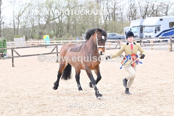 BPP_8023 - SUPREME CHAMPIONSHIP