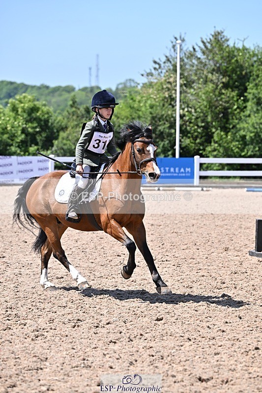 250517-132528-01337 - 50cm