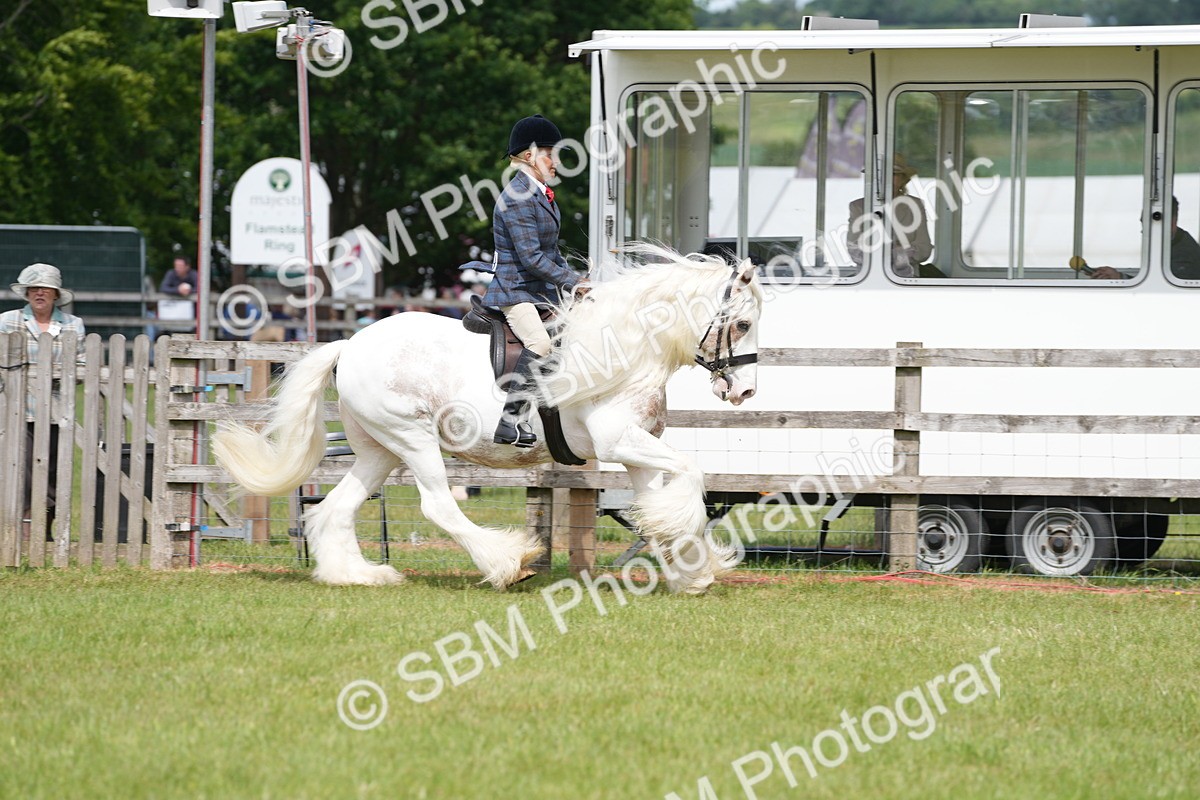 SBM_17176 - Class 107-108 - LIHS BSPS Performance Coloured Horse Pony