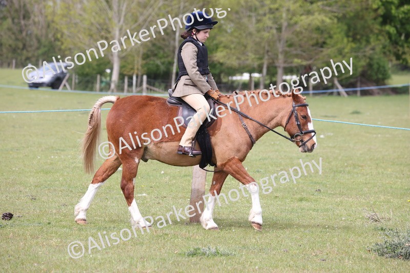 20260426-2885 - Class 33 - Best Pony 14.2hh and Under