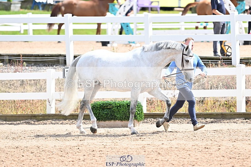 240717A-144837-02308 - Trot Up 2pm to 3pm - This folder is not in time order