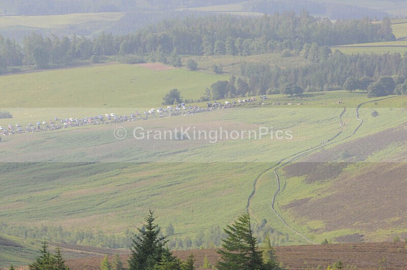 _115 - Selkirk Common Riding 2025