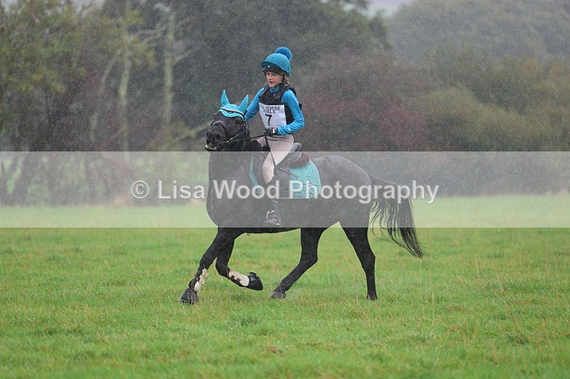 3E7A0840 - Class 1: 65cm: Rails