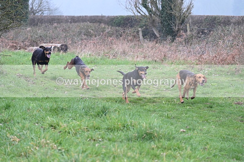 WJ7_0295 - Line 2 cam A