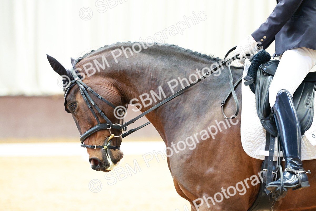 SBM_001423 - Class 5 - Novice 5
