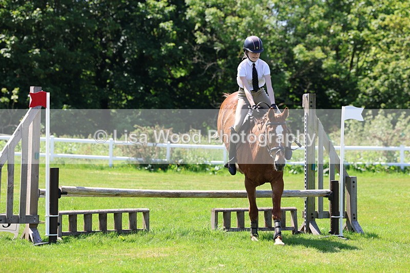 3E7A7113 - Class 30: Novice Working Hunter