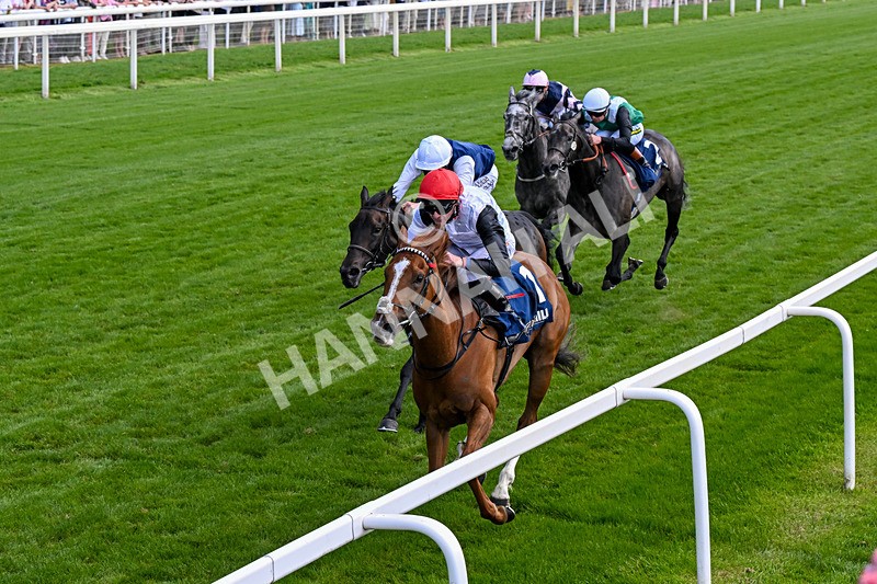 230526-Race 4-Danielle-0495 - Race 4 15.15pm William Hill Bronte Cup Fillies' Stakes