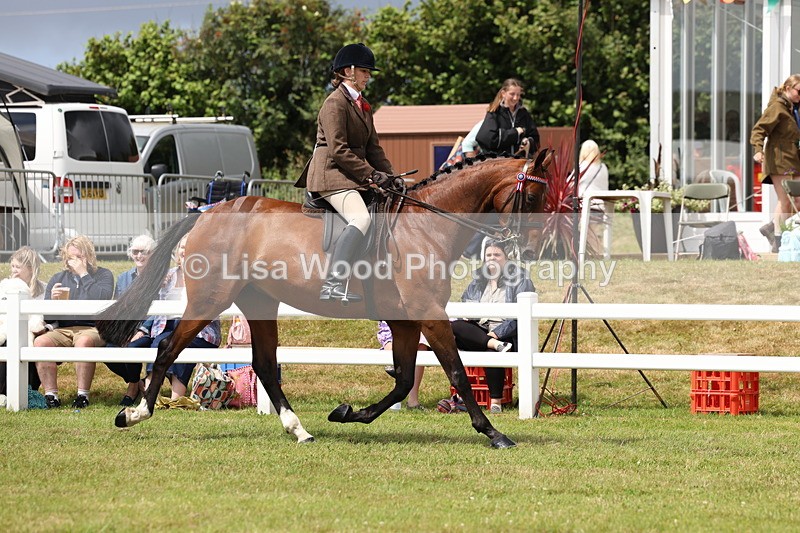 3E7A0847 - Class 8: Open Riding Horse/Hack