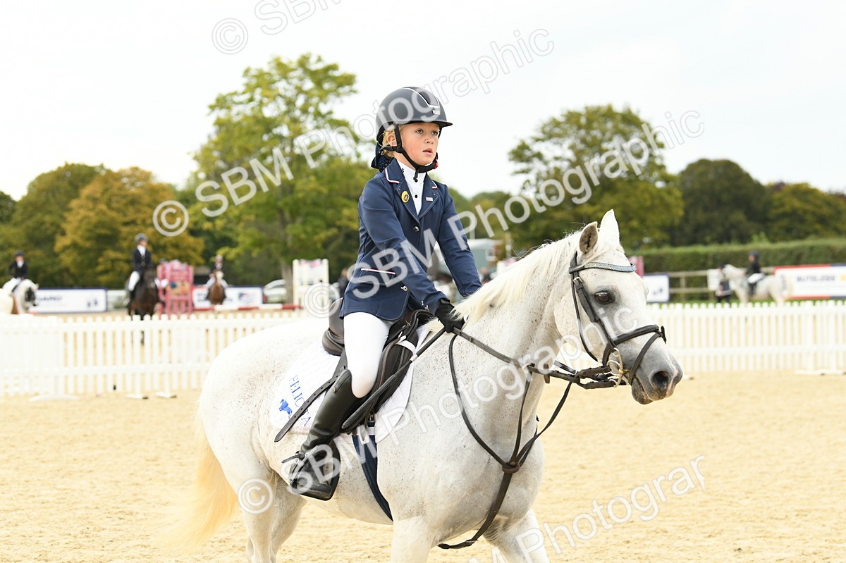 SBM_73309 - J16 - Junior Pony 75cm Championship