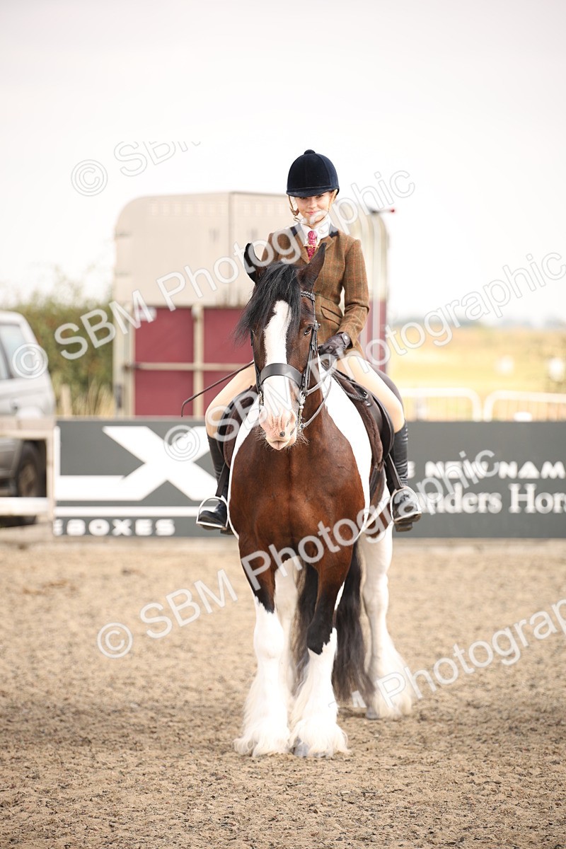 SBM_11698 - Class 404b Junior Working Veteran- 40cm(20+)