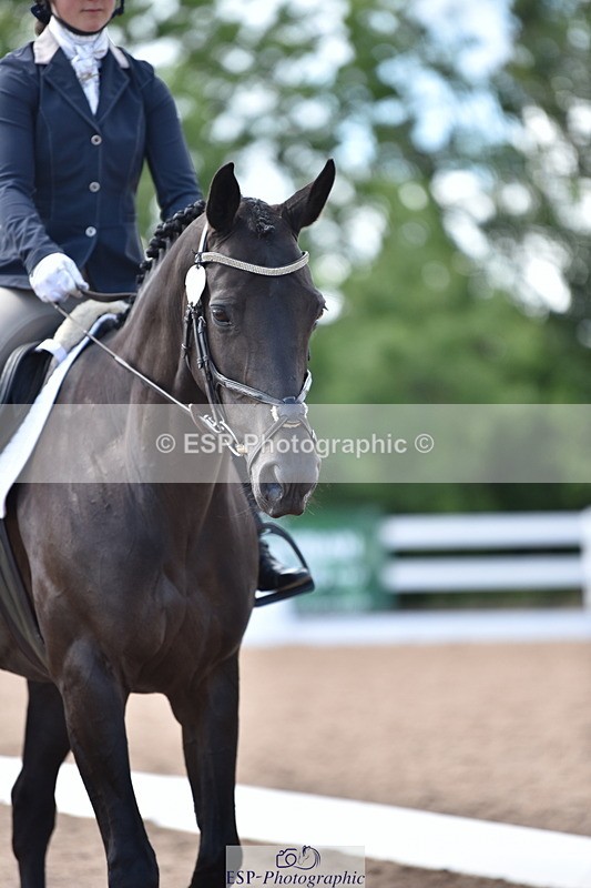 240706A-151206-03465 - Cls 4C Snr Novice 23