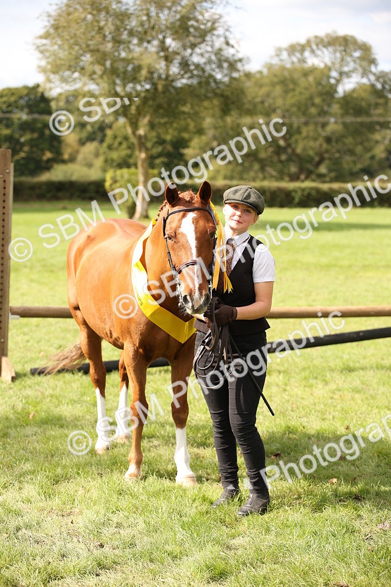 SBM_44522 - S24 - Young Veteran in hand