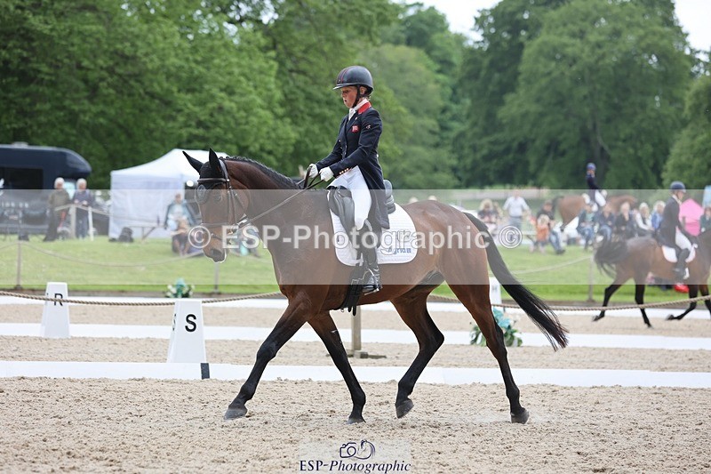 240524-120334-08507 - 274-JACK_OF_CLUBS-Rosalind_Canter