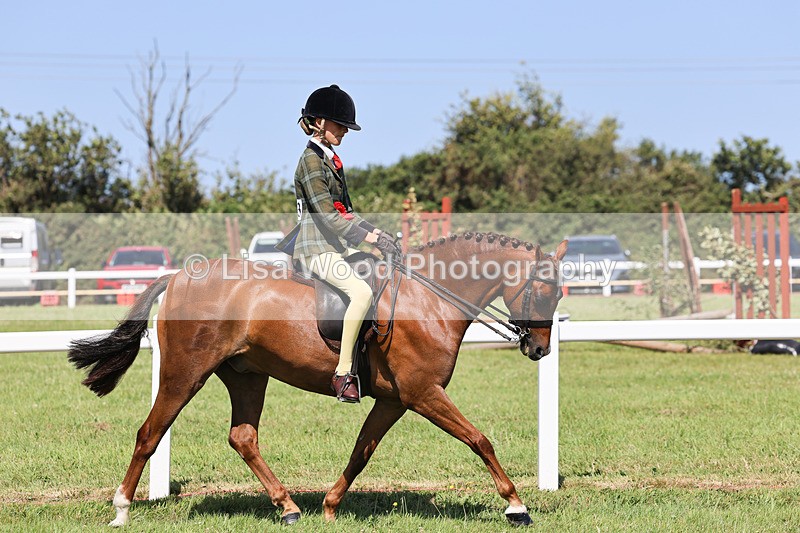 IMG_2070 - Class 34: Show Hunter Pony 153cm and under