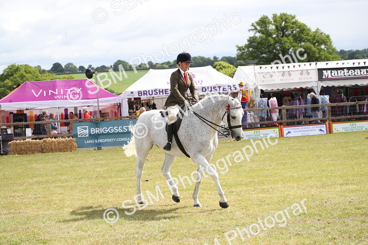 SBM_13228 - Class 95-96 - LIHS BSHA Rising Star Hack Riding Horse