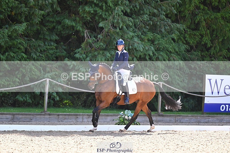 240809-111539-00538 - 133-Dawn.Bear-First.Taylor.Made