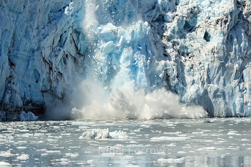 Surprise Glacier calving with splash, Prince William Sound, Alaska - Alaska, USA