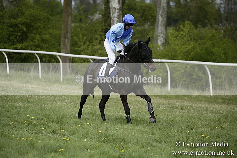 PtP 170417 63 - Old Berks Point-to-Point Lockinge 17/04/17