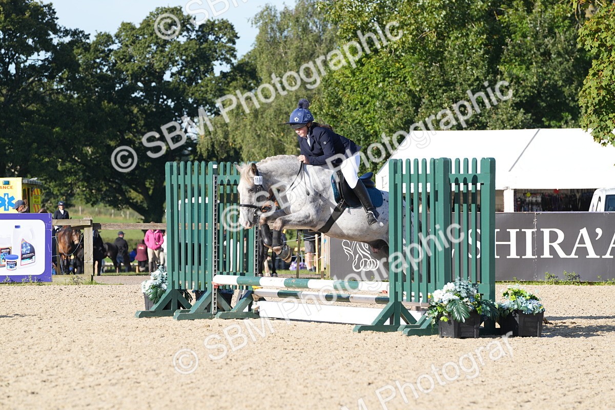 SBM_34484 - J62 - Clear Round 50cm