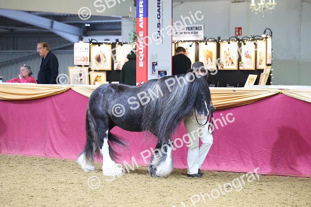 SBM_20941 - Class 902 - Supreme Final IH Veteran