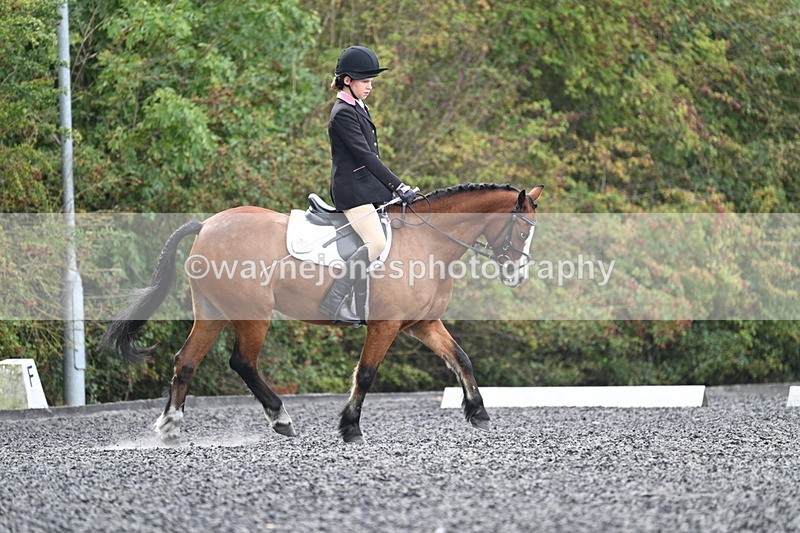 WJ7_3952 - Time 11:04 to 11:38