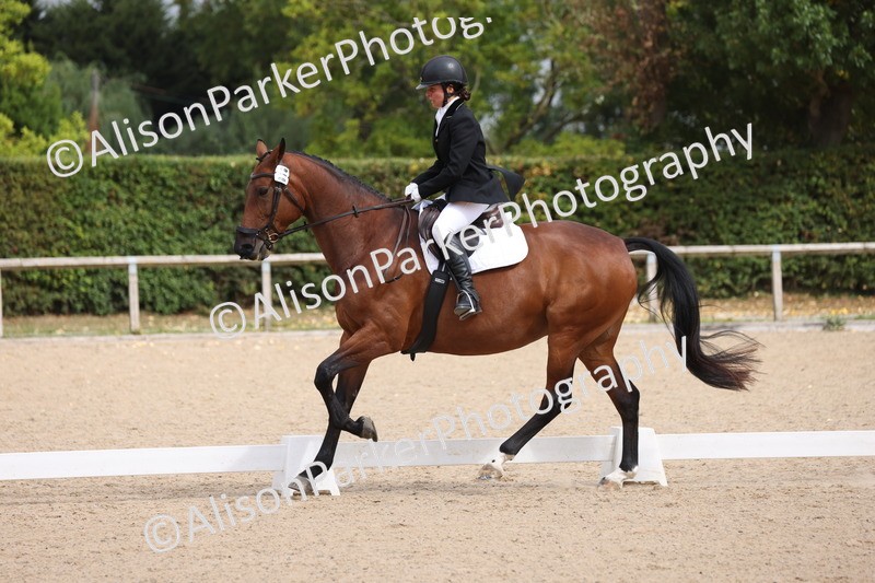 20250820-0501 - Class 14 - Prelim 5