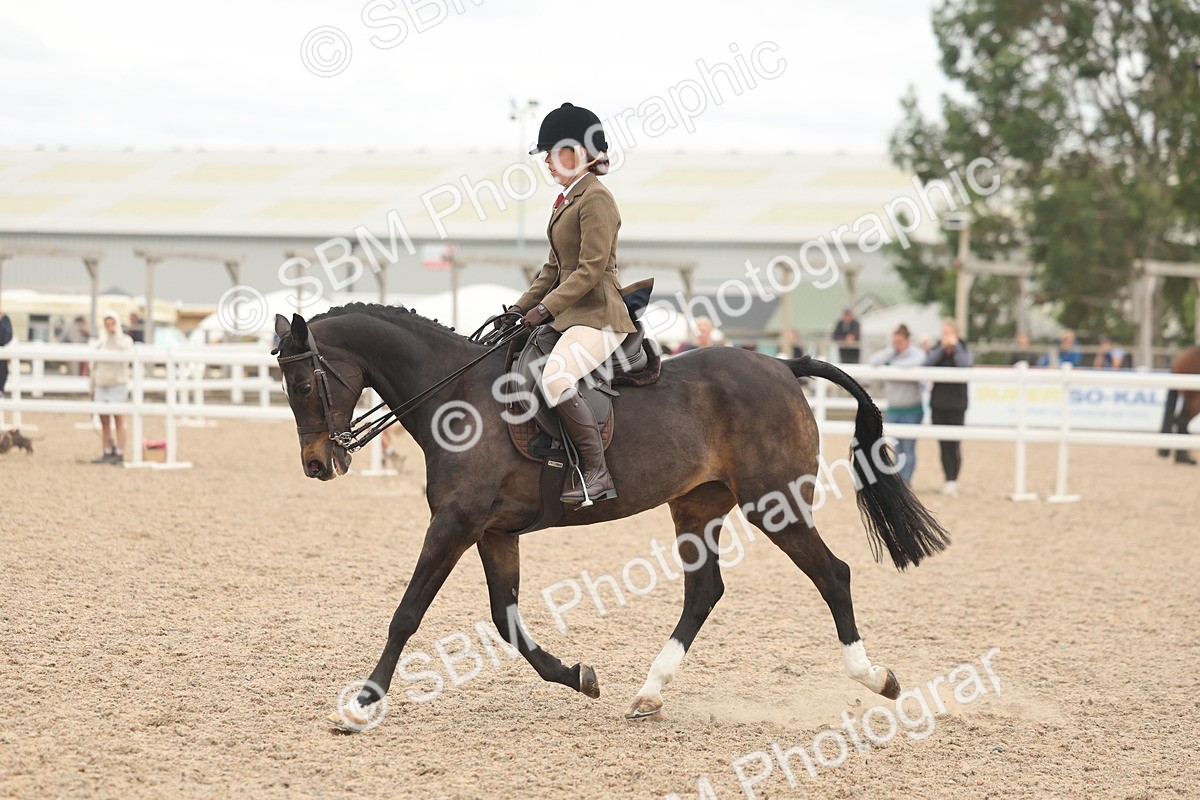 SBM_19137 - Class 316 - Best Pony-Rider Combination